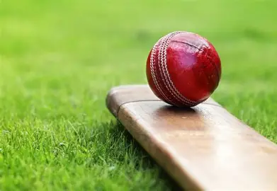 Cricket Image